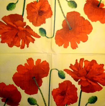 184 Anemones, Poppy - 3-ply (grün) - Paw